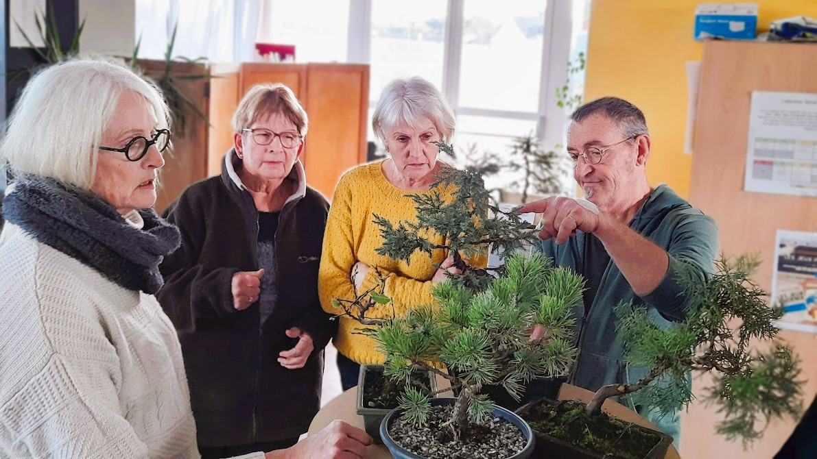 Bruno et des adhérentes devant des bonsaïs